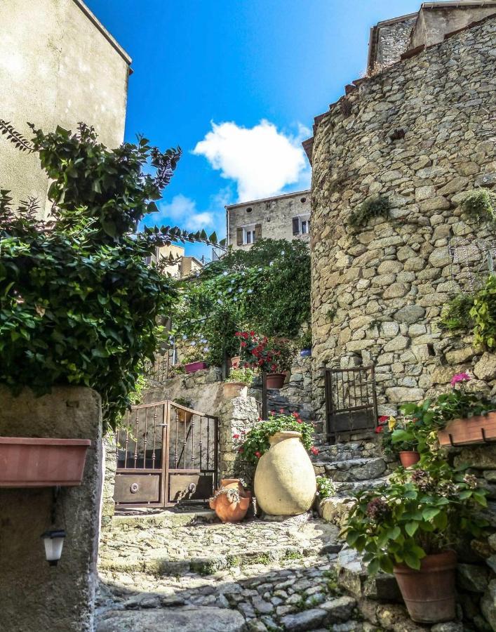 Campu Latinu Apartment Lama Bagian luar foto