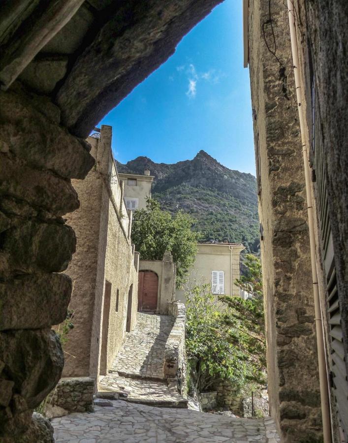 Campu Latinu Apartment Lama Bagian luar foto